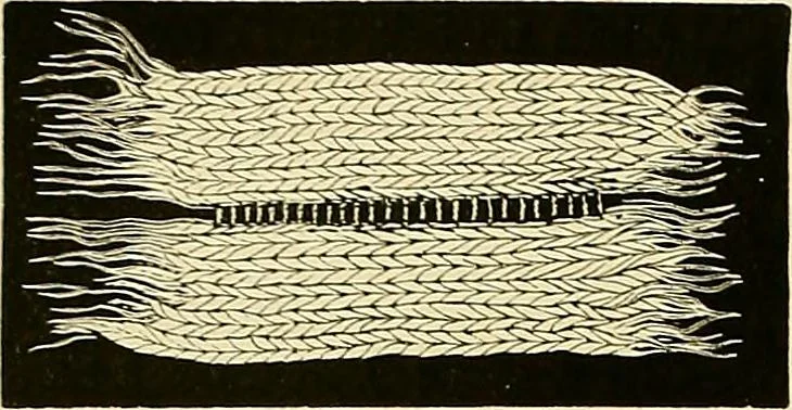 An illustration from The dictionary of needlework : an encyclopaedia of artistic, plain, and fancy needlework. Dealing fully with the details of all the stitches employed, the method of working, the materials used, the meaning of technical terms, and, where necessary, tracing the origin and history of the various works described. Illustrated with upwards of 800 wood engravings, and coloured plates. Plain sewing, textiles, dressmaking, appliances, and terms, 1885, leaf 64