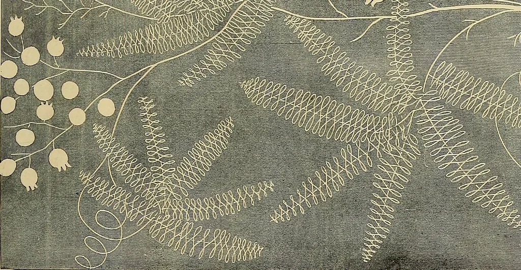 An illustration from The dictionary of needlework : an encyclopaedia of artistic, plain, and fancy needlework. Dealing fully with the details of all the stitches employed, the method of working, the materials used, the meaning of technical terms, and, where necessary, tracing the origin and history of the various works described. Illustrated with upwards of 800 wood engravings, and coloured plates. Plain sewing, textiles, dressmaking, appliances, and terms, 1885, leaf 67