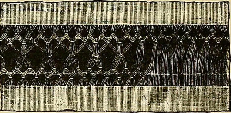 An illustration from The dictionary of needlework : an encyclopaedia of artistic, plain, and fancy needlework. Dealing fully with the details of all the stitches employed, the method of working, the materials used, the meaning of technical terms, and, where necessary, tracing the origin and history of the various works described. Illustrated with upwards of 800 wood engravings, and coloured plates. Plain sewing, textiles, dressmaking, appliances, and terms, 1885, leaf 82