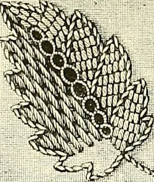 An illustration from The dictionary of needlework : an encyclopaedia of artistic, plain, and fancy needlework. Dealing fully with the details of all the stitches employed, the method of working, the materials used, the meaning of technical terms, and, where necessary, tracing the origin and history of the various works described. Illustrated with upwards of 800 wood engravings, and coloured plates. Plain sewing, textiles, dressmaking, appliances, and terms, 1885, leaf 10