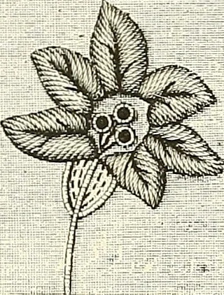 An illustration from The dictionary of needlework : an encyclopaedia of artistic, plain, and fancy needlework. Dealing fully with the details of all the stitches employed, the method of working, the materials used, the meaning of technical terms, and, where necessary, tracing the origin and history of the various works described. Illustrated with upwards of 800 wood engravings, and coloured plates. Plain sewing, textiles, dressmaking, appliances, and terms, 1885, leaf 11