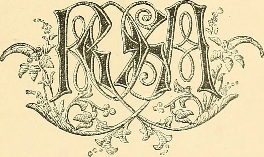 An illustration from The dictionary of needlework : an encyclopaedia of artistic, plain, and fancy needlework. Dealing fully with the details of all the stitches employed, the method of working, the materials used, the meaning of technical terms, and, where necessary, tracing the origin and history of the various works described. Illustrated with upwards of 800 wood engravings, and coloured plates. Plain sewing, textiles, dressmaking, appliances, and terms, 1885, leaf 164