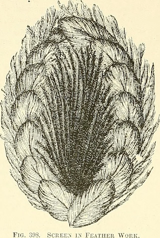 An illustration from The dictionary of needlework : an encyclopaedia of artistic, plain, and fancy needlework. Dealing fully with the details of all the stitches employed, the method of working, the materials used, the meaning of technical terms, and, where necessary, tracing the origin and history of the various works described. Illustrated with upwards of 800 wood engravings, and coloured plates. Plain sewing, textiles, dressmaking, appliances, and terms, 1885, leaf 21