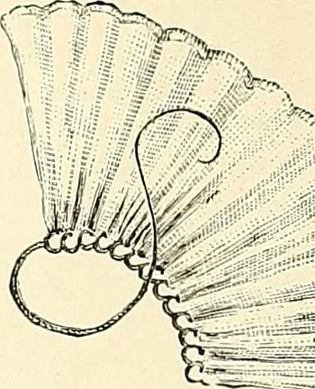 An illustration from The dictionary of needlework : an encyclopaedia of artistic, plain, and fancy needlework. Dealing fully with the details of all the stitches employed, the method of working, the materials used, the meaning of technical terms, and, where necessary, tracing the origin and history of the various works described. Illustrated with upwards of 800 wood engravings, and coloured plates. Plain sewing, textiles, dressmaking, appliances, and terms, 1885, leaf 35