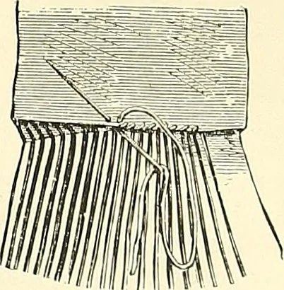 An illustration from The dictionary of needlework : an encyclopaedia of artistic, plain, and fancy needlework. Dealing fully with the details of all the stitches employed, the method of working, the materials used, the meaning of technical terms, and, where necessary, tracing the origin and history of the various works described. Illustrated with upwards of 800 wood engravings, and coloured plates. Plain sewing, textiles, dressmaking, appliances, and terms, 1885, leaf 40