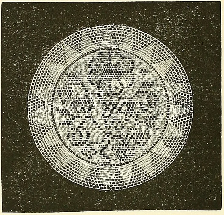 An illustration from The dictionary of needlework : an encyclopaedia of artistic, plain, and fancy needlework. Dealing fully with the details of all the stitches employed, the method of working, the materials used, the meaning of technical terms, and, where necessary, tracing the origin and history of the various works described. Illustrated with upwards of 800 wood engravings, and coloured plates. Plain sewing, textiles, dressmaking, appliances, and terms, 1885, leaf 79
