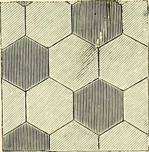 An illustration from The dictionary of needlework : an encyclopaedia of artistic, plain, and fancy needlework. Dealing fully with the details of all the stitches employed, the method of working, the materials used, the meaning of technical terms, and, where necessary, tracing the origin and history of the various works described. Illustrated with upwards of 800 wood engravings, and coloured plates. Plain sewing, textiles, dressmaking, appliances, and terms, 1885, leaf 112