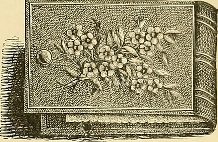 An illustration from The dictionary of needlework : an encyclopaedia of artistic, plain, and fancy needlework. Dealing fully with the details of all the stitches employed, the method of working, the materials used, the meaning of technical terms, and, where necessary, tracing the origin and history of the various works described. Illustrated with upwards of 800 wood engravings, and coloured plates. Plain sewing, textiles, dressmaking, appliances, and terms, 1885, leaf 124
