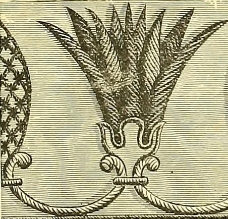 An illustration from The dictionary of needlework : an encyclopaedia of artistic, plain, and fancy needlework. Dealing fully with the details of all the stitches employed, the method of working, the materials used, the meaning of technical terms, and, where necessary, tracing the origin and history of the various works described. Illustrated with upwards of 800 wood engravings, and coloured plates. Plain sewing, textiles, dressmaking, appliances, and terms, 1885, leaf 138