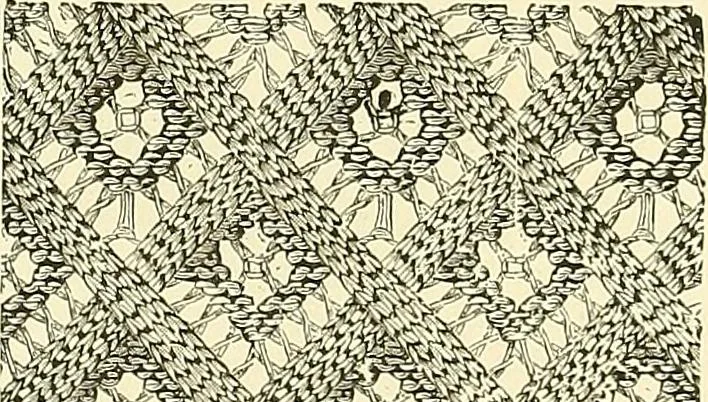 An illustration from The dictionary of needlework : an encyclopaedia of artistic, plain, and fancy needlework. Dealing fully with the details of all the stitches employed, the method of working, the materials used, the meaning of technical terms, and, where necessary, tracing the origin and history of the various works described. Illustrated with upwards of 800 wood engravings, and coloured plates. Plain sewing, textiles, dressmaking, appliances, and terms, 1885, leaf 14