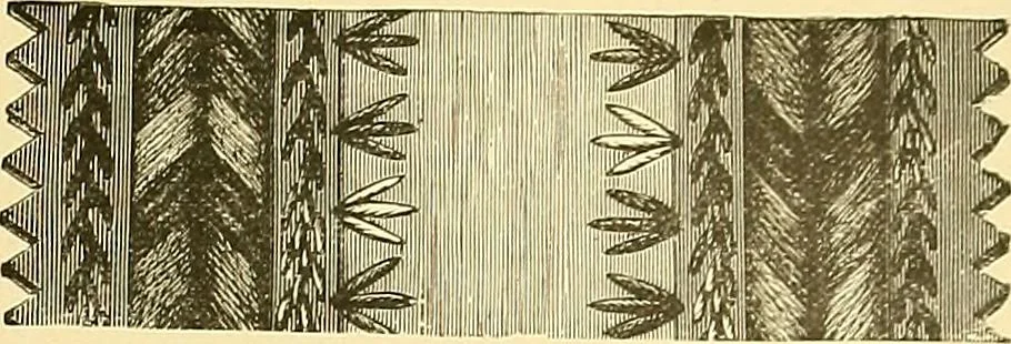 An illustration from The dictionary of needlework : an encyclopaedia of artistic, plain, and fancy needlework. Dealing fully with the details of all the stitches employed, the method of working, the materials used, the meaning of technical terms, and, where necessary, tracing the origin and history of the various works described. Illustrated with upwards of 800 wood engravings, and coloured plates. Plain sewing, textiles, dressmaking, appliances, and terms, 1885, leaf 142