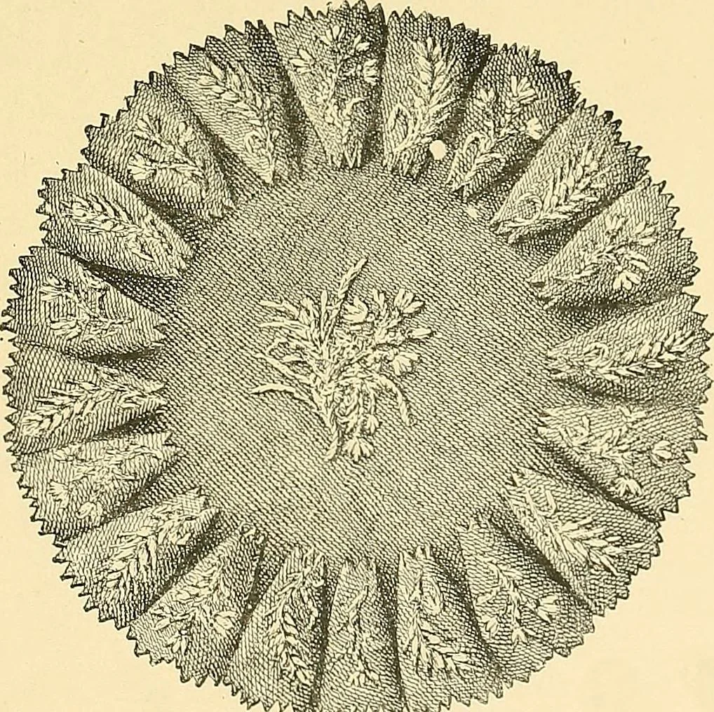 An illustration from The dictionary of needlework : an encyclopaedia of artistic, plain, and fancy needlework. Dealing fully with the details of all the stitches employed, the method of working, the materials used, the meaning of technical terms, and, where necessary, tracing the origin and history of the various works described. Illustrated with upwards of 800 wood engravings, and coloured plates. Plain sewing, textiles, dressmaking, appliances, and terms, 1885, leaf 146