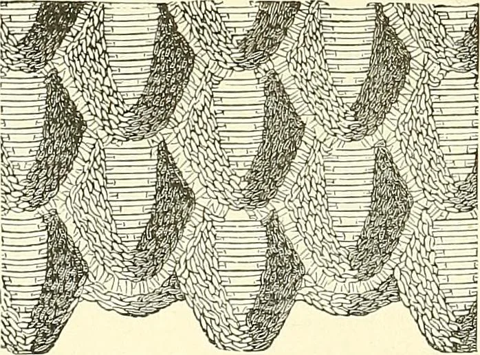 An illustration from The dictionary of needlework : an encyclopaedia of artistic, plain, and fancy needlework. Dealing fully with the details of all the stitches employed, the method of working, the materials used, the meaning of technical terms, and, where necessary, tracing the origin and history of the various works described. Illustrated with upwards of 800 wood engravings, and coloured plates. Plain sewing, textiles, dressmaking, appliances, and terms, 1885, leaf 15