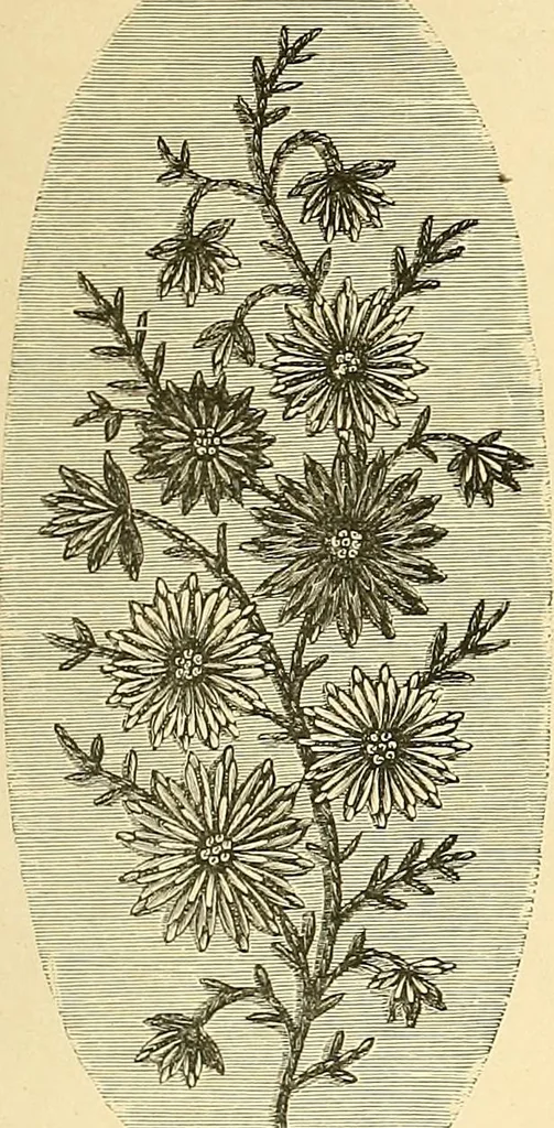 An illustration from The dictionary of needlework : an encyclopaedia of artistic, plain, and fancy needlework. Dealing fully with the details of all the stitches employed, the method of working, the materials used, the meaning of technical terms, and, where necessary, tracing the origin and history of the various works described. Illustrated with upwards of 800 wood engravings, and coloured plates. Plain sewing, textiles, dressmaking, appliances, and terms, 1885, leaf 154