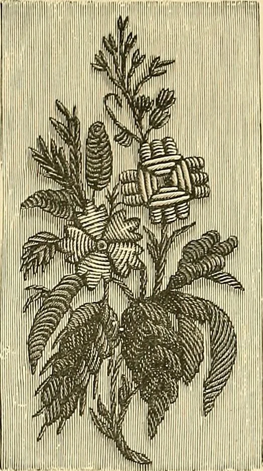 An illustration from The dictionary of needlework : an encyclopaedia of artistic, plain, and fancy needlework. Dealing fully with the details of all the stitches employed, the method of working, the materials used, the meaning of technical terms, and, where necessary, tracing the origin and history of the various works described. Illustrated with upwards of 800 wood engravings, and coloured plates. Plain sewing, textiles, dressmaking, appliances, and terms, 1885, leaf 154