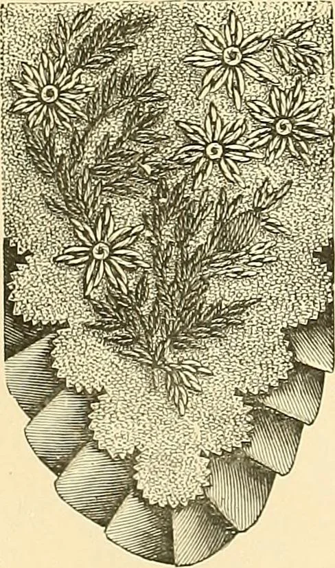 An illustration from The dictionary of needlework : an encyclopaedia of artistic, plain, and fancy needlework. Dealing fully with the details of all the stitches employed, the method of working, the materials used, the meaning of technical terms, and, where necessary, tracing the origin and history of the various works described. Illustrated with upwards of 800 wood engravings, and coloured plates. Plain sewing, textiles, dressmaking, appliances, and terms, 1885, leaf 154