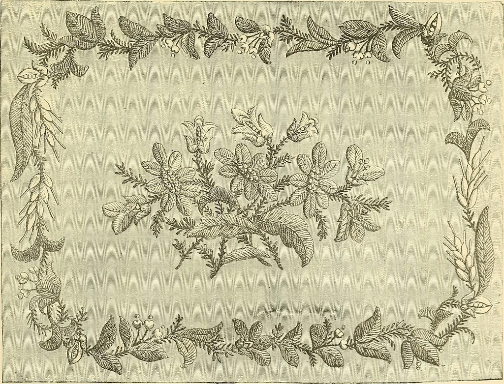 An illustration from The dictionary of needlework : an encyclopaedia of artistic, plain, and fancy needlework. Dealing fully with the details of all the stitches employed, the method of working, the materials used, the meaning of technical terms, and, where necessary, tracing the origin and history of the various works described. Illustrated with upwards of 800 wood engravings, and coloured plates. Plain sewing, textiles, dressmaking, appliances, and terms, 1885, leaf 156