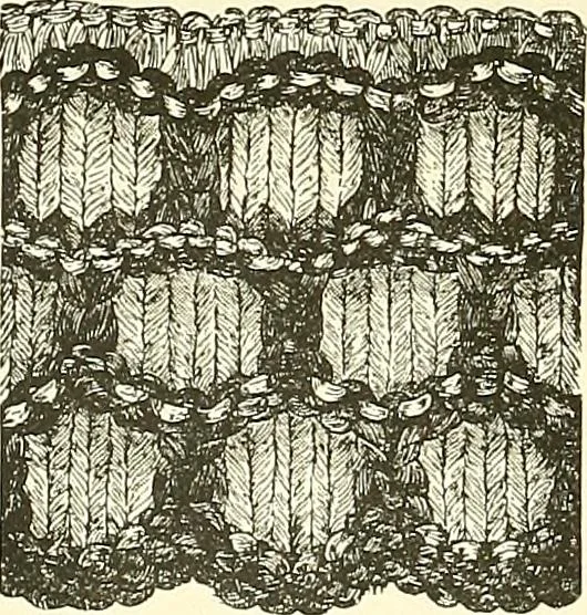An illustration from The dictionary of needlework : an encyclopaedia of artistic, plain, and fancy needlework. Dealing fully with the details of all the stitches employed, the method of working, the materials used, the meaning of technical terms, and, where necessary, tracing the origin and history of the various works described. Illustrated with upwards of 800 wood engravings, and coloured plates. Plain sewing, textiles, dressmaking, appliances, and terms, 1885, leaf 17