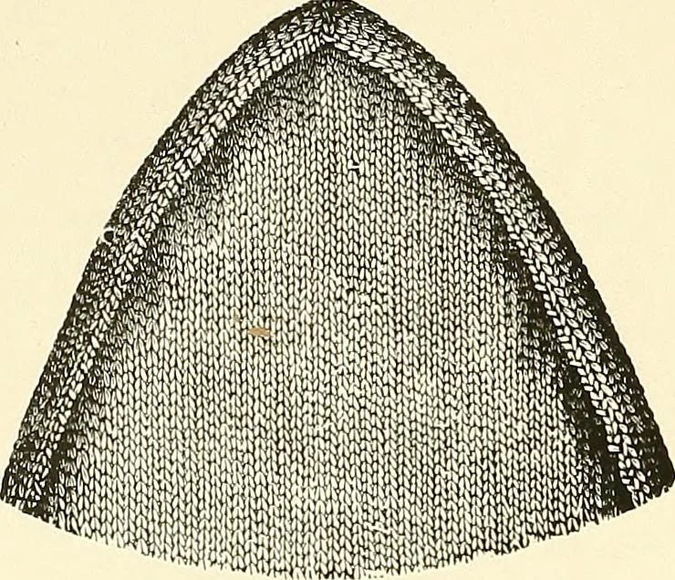 An illustration from The dictionary of needlework : an encyclopaedia of artistic, plain, and fancy needlework. Dealing fully with the details of all the stitches employed, the method of working, the materials used, the meaning of technical terms, and, where necessary, tracing the origin and history of the various works described. Illustrated with upwards of 800 wood engravings, and coloured plates. Plain sewing, textiles, dressmaking, appliances, and terms, 1885, leaf 29
