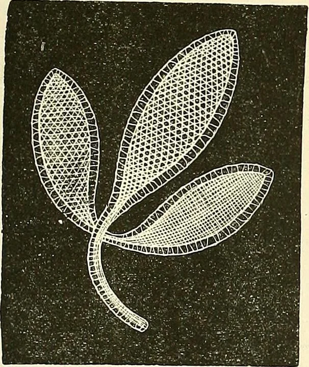 An illustration from The dictionary of needlework : an encyclopaedia of artistic, plain, and fancy needlework. Dealing fully with the details of all the stitches employed, the method of working, the materials used, the meaning of technical terms, and, where necessary, tracing the origin and history of the various works described. Illustrated with upwards of 800 wood engravings, and coloured plates. Plain sewing, textiles, dressmaking, appliances, and terms, 1885, leaf 48