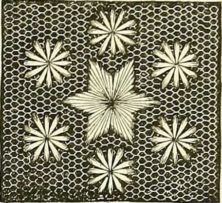 An illustration from The dictionary of needlework : an encyclopaedia of artistic, plain, and fancy needlework. Dealing fully with the details of all the stitches employed, the method of working, the materials used, the meaning of technical terms, and, where necessary, tracing the origin and history of the various works described. Illustrated with upwards of 800 wood engravings, and coloured plates. Plain sewing, textiles, dressmaking, appliances, and terms, 1885, leaf 84