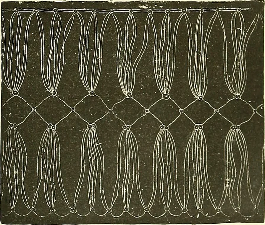 An illustration from The dictionary of needlework : an encyclopaedia of artistic, plain, and fancy needlework. Dealing fully with the details of all the stitches employed, the method of working, the materials used, the meaning of technical terms, and, where necessary, tracing the origin and history of the various works described. Illustrated with upwards of 800 wood engravings, and coloured plates. Plain sewing, textiles, dressmaking, appliances, and terms, 1885, leaf 94