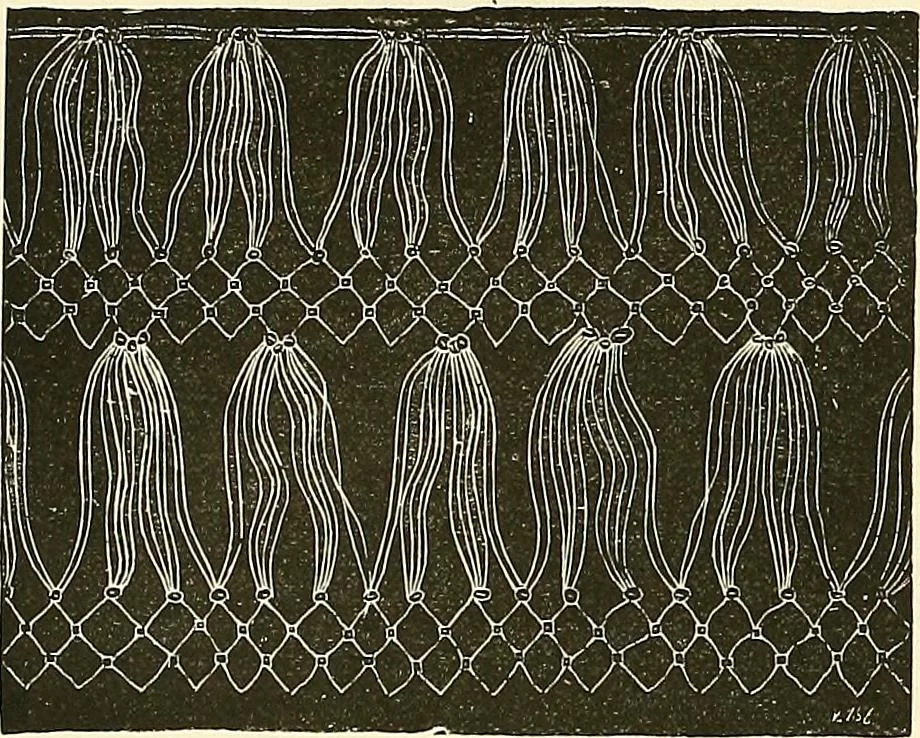 An illustration from The dictionary of needlework : an encyclopaedia of artistic, plain, and fancy needlework. Dealing fully with the details of all the stitches employed, the method of working, the materials used, the meaning of technical terms, and, where necessary, tracing the origin and history of the various works described. Illustrated with upwards of 800 wood engravings, and coloured plates. Plain sewing, textiles, dressmaking, appliances, and terms, 1885, leaf 95