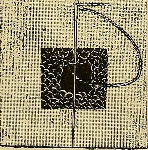An illustration from The dictionary of needlework : an encyclopaedia of artistic, plain, and fancy needlework. Dealing fully with the details of all the stitches employed, the method of working, the materials used, the meaning of technical terms, and, where necessary, tracing the origin and history of the various works described. Illustrated with upwards of 800 wood engravings, and coloured plates. Plain sewing, textiles, dressmaking, appliances, and terms, 1885, leaf 104