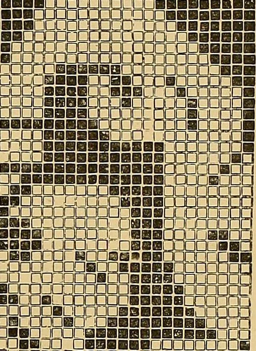 An illustration from The dictionary of needlework : an encyclopaedia of artistic, plain, and fancy needlework. Dealing fully with the details of all the stitches employed, the method of working, the materials used, the meaning of technical terms, and, where necessary, tracing the origin and history of the various works described. Illustrated with upwards of 800 wood engravings, and coloured plates. Plain sewing, textiles, dressmaking, appliances, and terms, 1885, leaf 158