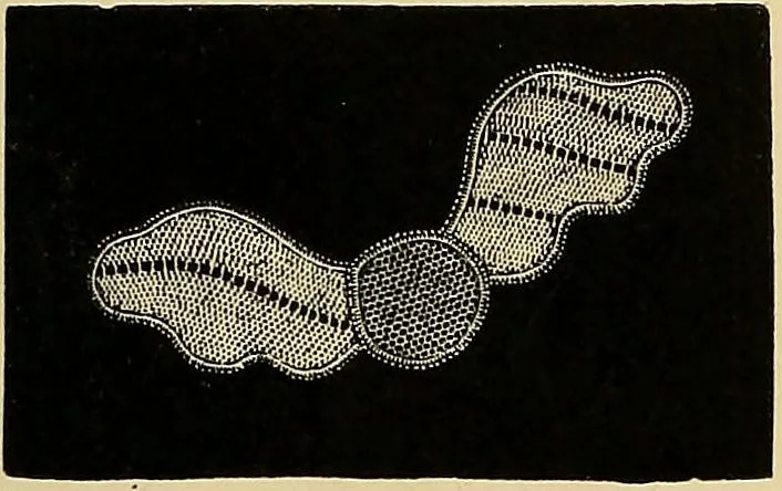 An illustration from The dictionary of needlework : an encyclopaedia of artistic, plain, and fancy needlework. Dealing fully with the details of all the stitches employed, the method of working, the materials used, the meaning of technical terms, and, where necessary, tracing the origin and history of the various works described. Illustrated with upwards of 800 wood engravings, and coloured plates. Plain sewing, textiles, dressmaking, appliances, and terms, 1885, leaf 32
