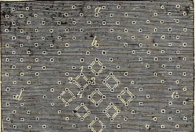 An illustration from The dictionary of needlework : an encyclopaedia of artistic, plain, and fancy needlework. Dealing fully with the details of all the stitches employed, the method of working, the materials used, the meaning of technical terms, and, where necessary, tracing the origin and history of the various works described. Illustrated with upwards of 800 wood engravings, and coloured plates. Plain sewing, textiles, dressmaking, appliances, and terms, 1885, leaf 72