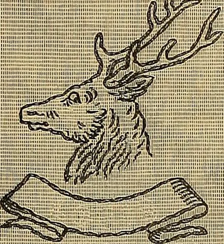 An illustration from The dictionary of needlework : an encyclopaedia of artistic, plain, and fancy needlework. Dealing fully with the details of all the stitches employed, the method of working, the materials used, the meaning of technical terms, and, where necessary, tracing the origin and history of the various works described. Illustrated with upwards of 800 wood engravings, and coloured plates. Plain sewing, textiles, dressmaking, appliances, and terms, 1885, leaf 118