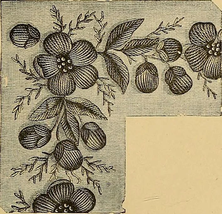 An illustration from The dictionary of needlework : an encyclopaedia of artistic, plain, and fancy needlework. Dealing fully with the details of all the stitches employed, the method of working, the materials used, the meaning of technical terms, and, where necessary, tracing the origin and history of the various works described. Illustrated with upwards of 800 wood engravings, and coloured plates. Plain sewing, textiles, dressmaking, appliances, and terms, 1885, leaf 138