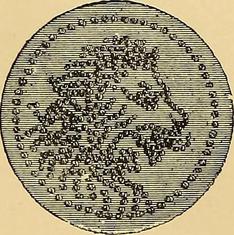An illustration from The dictionary of needlework : an encyclopaedia of artistic, plain, and fancy needlework. Dealing fully with the details of all the stitches employed, the method of working, the materials used, the meaning of technical terms, and, where necessary, tracing the origin and history of the various works described. Illustrated with upwards of 800 wood engravings, and coloured plates. Plain sewing, textiles, dressmaking, appliances, and terms, 1885, leaf 148