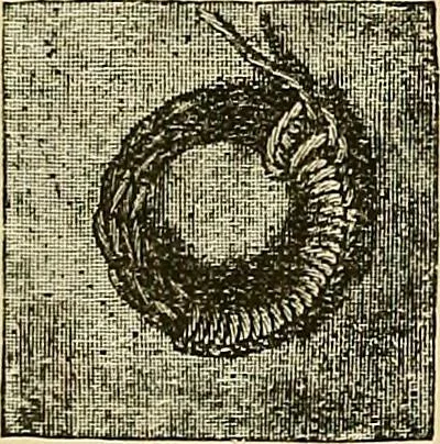 An illustration from The dictionary of needlework : an encyclopaedia of artistic, plain, and fancy needlework. Dealing fully with the details of all the stitches employed, the method of working, the materials used, the meaning of technical terms, and, where necessary, tracing the origin and history of the various works described. Illustrated with upwards of 800 wood engravings, and coloured plates. Plain sewing, textiles, dressmaking, appliances, and terms, 1885, leaf 53