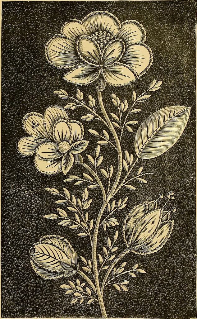 An illustration from The dictionary of needlework : an encyclopaedia of artistic, plain, and fancy needlework. Dealing fully with the details of all the stitches employed, the method of working, the materials used, the meaning of technical terms, and, where necessary, tracing the origin and history of the various works described. Illustrated with upwards of 800 wood engravings, and coloured plates. Plain sewing, textiles, dressmaking, appliances, and terms, 1885, leaf 72