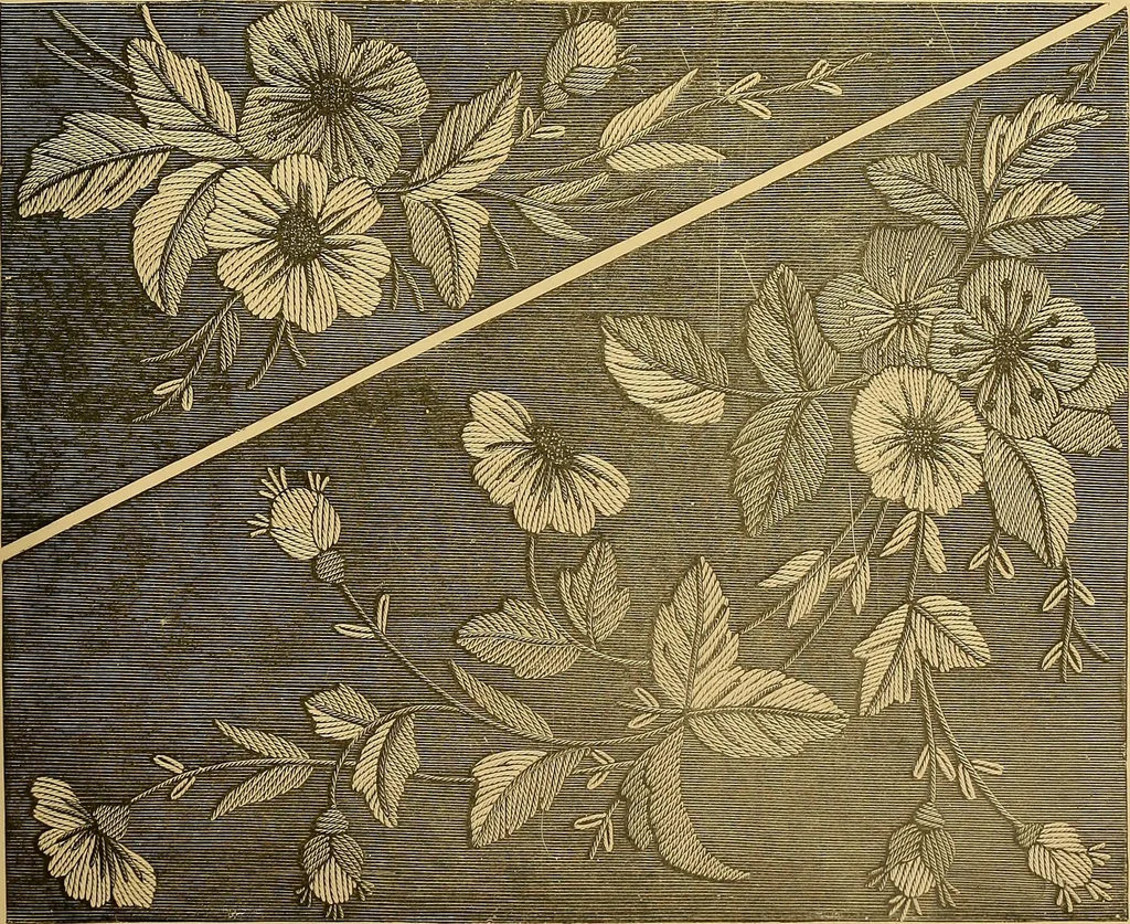 An illustration from The dictionary of needlework : an encyclopaedia of artistic, plain, and fancy needlework. Dealing fully with the details of all the stitches employed, the method of working, the materials used, the meaning of technical terms, and, where necessary, tracing the origin and history of the various works described. Illustrated with upwards of 800 wood engravings, and coloured plates. Plain sewing, textiles, dressmaking, appliances, and terms, 1885, leaf 74