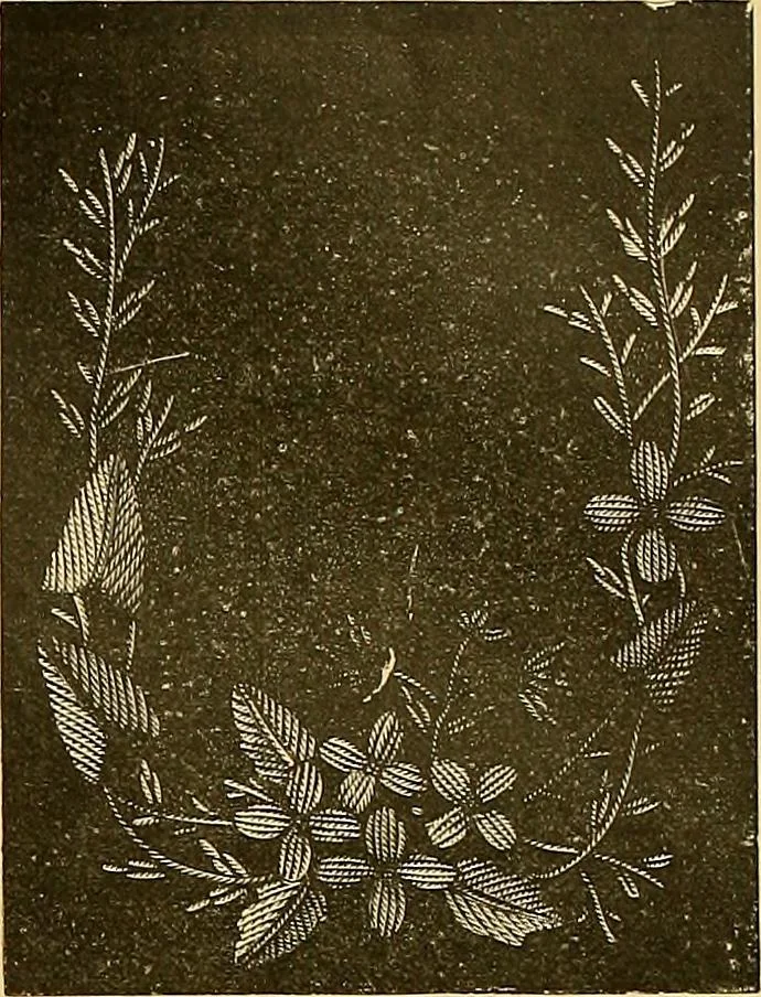 An illustration from The dictionary of needlework : an encyclopaedia of artistic, plain, and fancy needlework. Dealing fully with the details of all the stitches employed, the method of working, the materials used, the meaning of technical terms, and, where necessary, tracing the origin and history of the various works described. Illustrated with upwards of 800 wood engravings, and coloured plates. Plain sewing, textiles, dressmaking, appliances, and terms, 1885, leaf 76