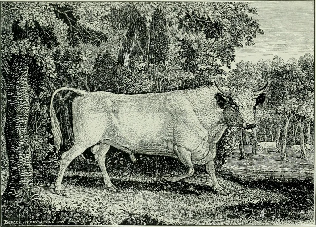 An illustration from Dictionary of painters and engravers, 1903, leaf 196
