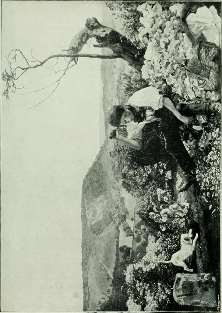 An illustration from Dictionary of painters and engravers, 1903, leaf 300