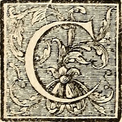 An illustration from Dictionnaire d'architecture, civile, militaire et navale, antique, ancienne et moderne : et de tous les arts et métiers qui en dépendent; Dont tous les Termes sont exprimés, en François, Latin, Italien, Espagnol, Anglois et Allemand. Enrichi de cent une Planches de Figures en Taille-douce, ... auquel on a joint Une Notice des Architectes, Ingénieurs, Peintres, Sculpteurs, Graveurs, & autres Artistes les plus celebres, dont on rapporte les principaux Ouvrages., 1770, leaf 283