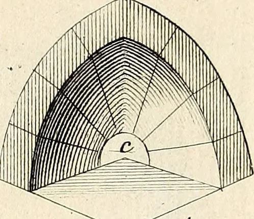 An illustration from Dictionnaire d'architecture, civile, militaire et navale, antique, ancienne et moderne : et de tous les arts et métiers qui en dépendent; Dont tous les Termes sont exprimés, en François, Latin, Italien, Espagnol, Anglois et Allemand. Enrichi de cent une Planches de Figures en Taille-douce, ... auquel on a joint Une Notice des Architectes, Ingénieurs, Peintres, Sculpteurs, Graveurs, & autres Artistes les plus celebres, dont on rapporte les principaux Ouvrages., 1770, leaf 306