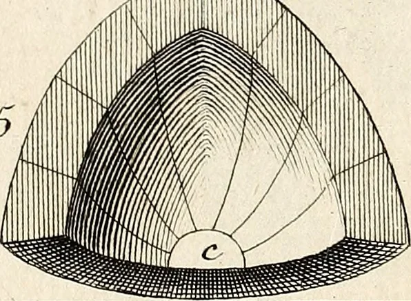 An illustration from Dictionnaire d'architecture, civile, militaire et navale, antique, ancienne et moderne : et de tous les arts et métiers qui en dépendent; Dont tous les Termes sont exprimés, en François, Latin, Italien, Espagnol, Anglois et Allemand. Enrichi de cent une Planches de Figures en Taille-douce, ... auquel on a joint Une Notice des Architectes, Ingénieurs, Peintres, Sculpteurs, Graveurs, & autres Artistes les plus celebres, dont on rapporte les principaux Ouvrages., 1770, leaf 306