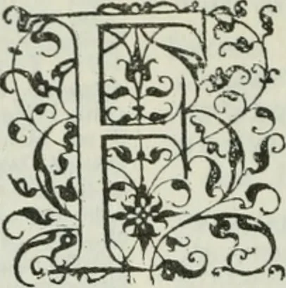 An illustration from Dictionnaire de géographie ancienne et moderne à l'usage du libraire et de l'amateur de livres;, 1592, leaf 247
