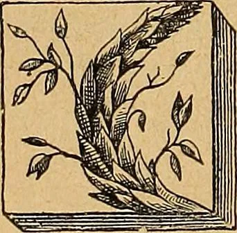 An illustration from Dictionnaire des arts décoratifs à l'usage des artisans, des artistes, des amateurs et des écoles, 1880, leaf 27