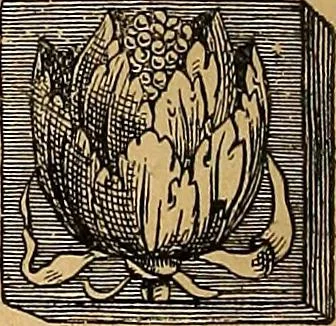 An illustration from Dictionnaire des arts décoratifs à l'usage des artisans, des artistes, des amateurs et des écoles, 1880, leaf 27