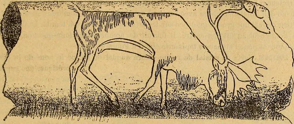 An illustration from Dictionnaire des arts décoratifs à l'usage des artisans, des artistes, des amateurs et des écoles, 1880, leaf 786