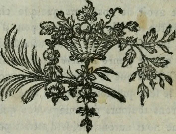 An illustration from Dictionnaire des arts de peinture, sculpture et gravure, 1792, leaf 221