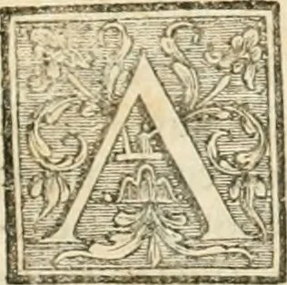 An illustration from Dictionnaire dárchitecture : civile, militaire et navale, antique, ancienne et moderne, et de tous les arts et métiers qui en dépendent : dont tous les termes son exprimés en Francois, Latin, Italien, Espagnol, Anglois et Allemand : enrichie de cent une planches de figures en taille-douce pour en faciliter l'intelligence ..., 1770, leaf 12