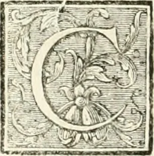 An illustration from Dictionnaire dárchitecture : civile, militaire et navale, antique, ancienne et moderne, et de tous les arts et métiers qui en dépendent : dont tous les termes son exprimés en Francois, Latin, Italien, Espagnol, Anglois et Allemand : enrichie de cent une planches de figures en taille-douce pour en faciliter l'intelligence ..., 1770, leaf 277